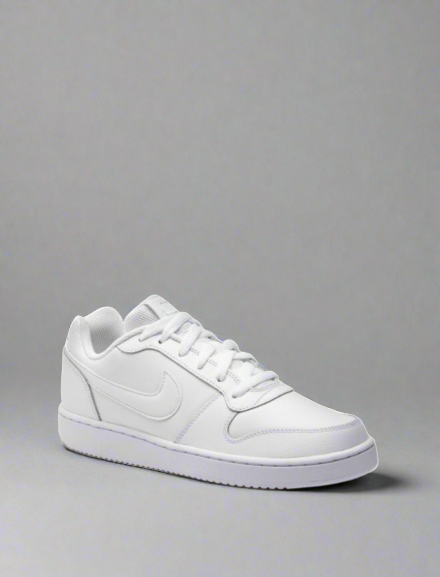 Ebernon Low -aq1775 100 – Discount Store