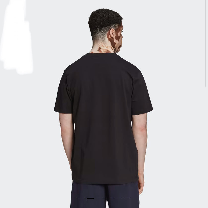 ADIDAS ADVENTURE MOUNTAIN FRONT TEE -hk5007