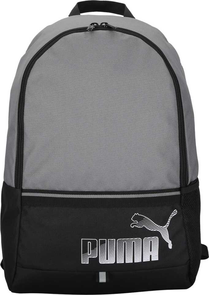 Phase II 23 L Laptop Backpack (Black, Grey)-07441301