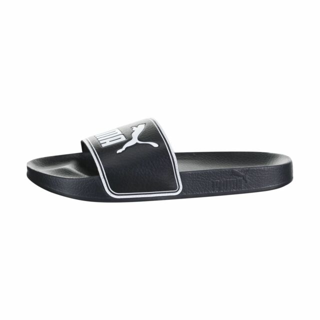 Lead Cat Slides-360263 01