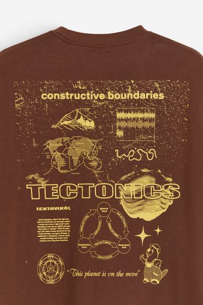 Loose Fit Printed T-shirt -Brown/Tectonics -1032522102