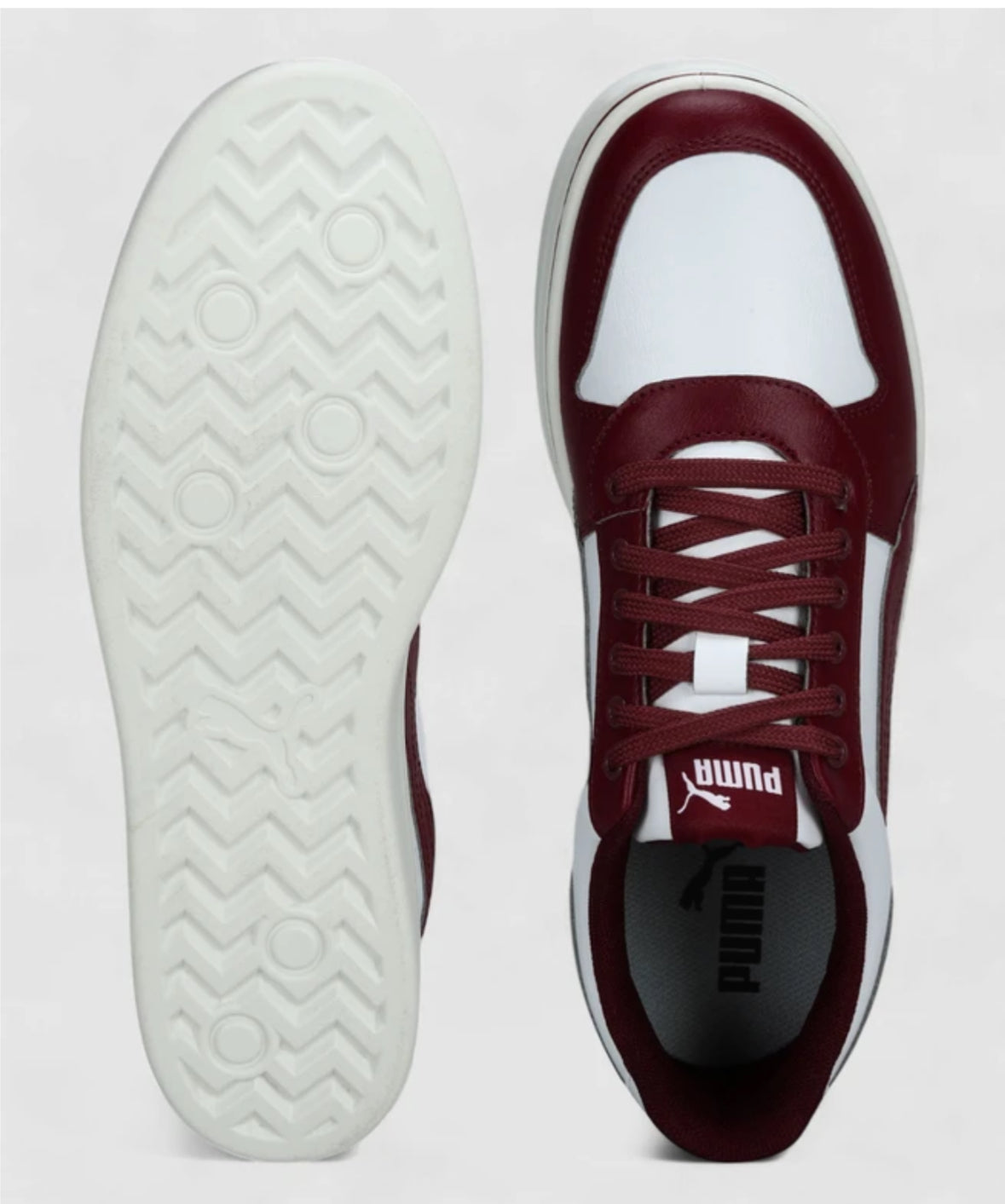 Skatecat Basher Sneakers -40234802