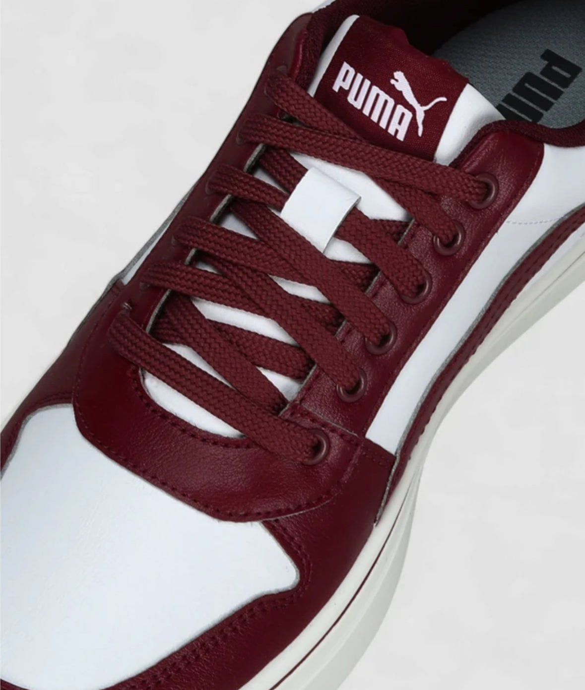 Skatecat Basher Sneakers -40234802