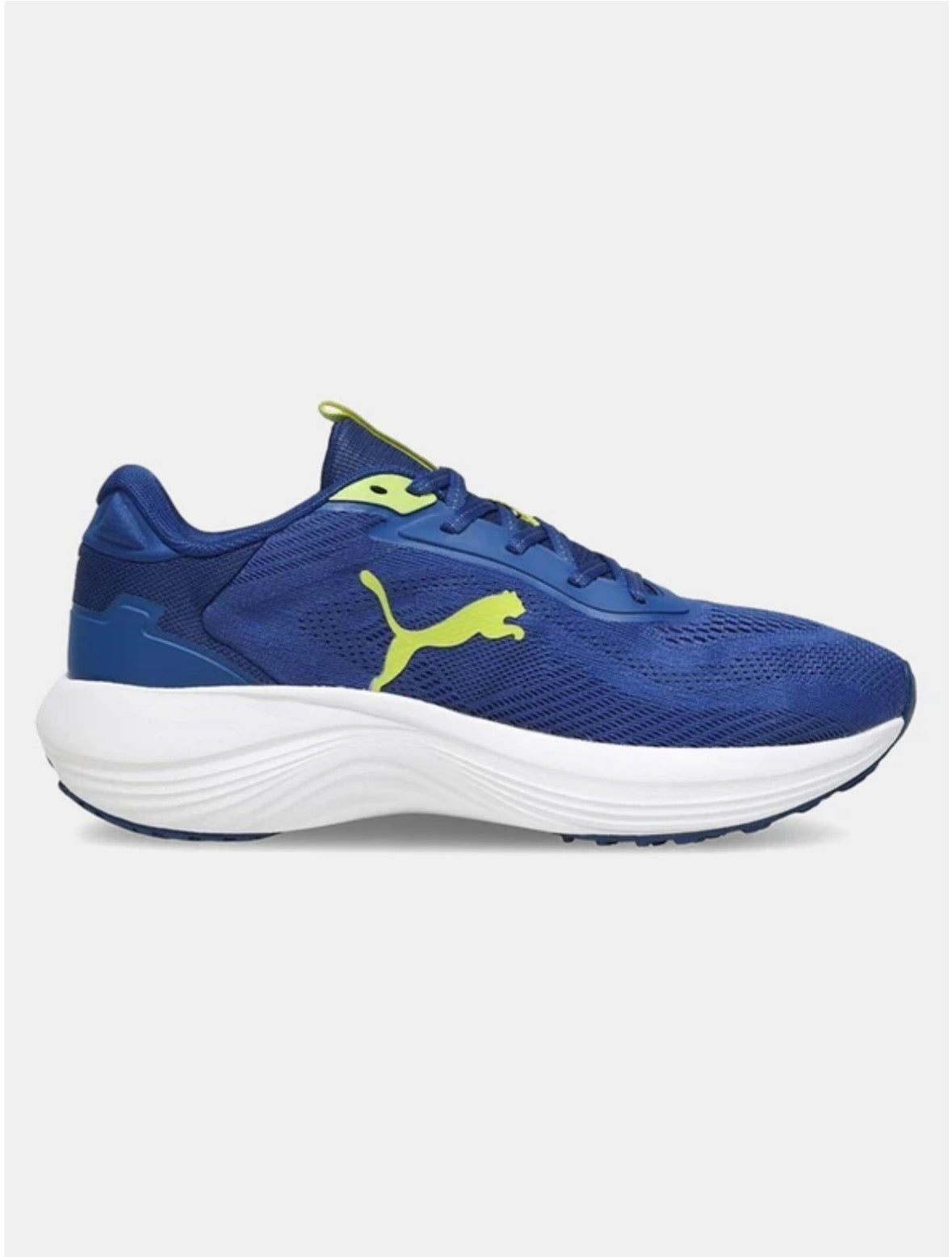 Puma Galaxis Pro Running Shoes-31176705