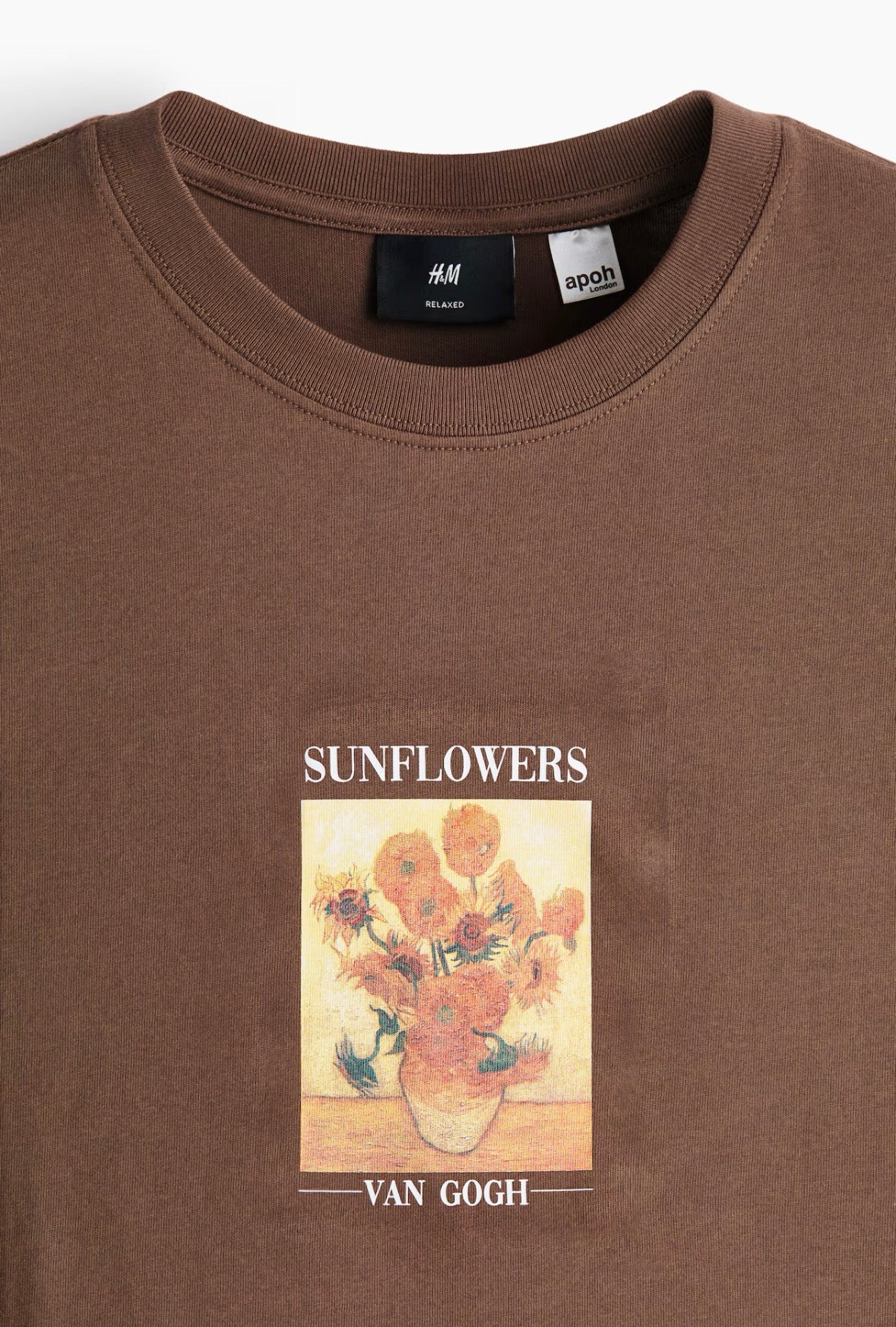 Loose Fit T-Shirts Brown /Van Gogh-0972640170
