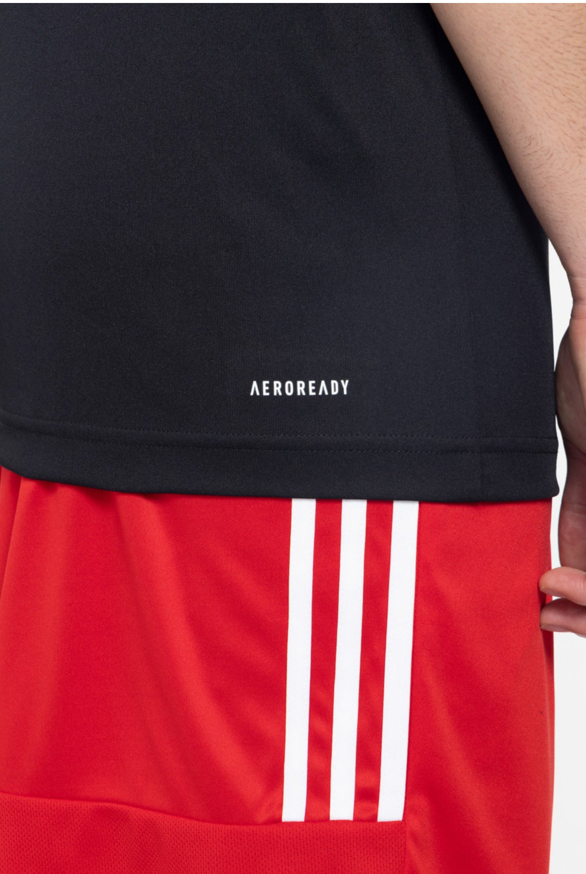 M Sereno 3 S  Men printed Crew neck  polyester black t-shirt-h28925