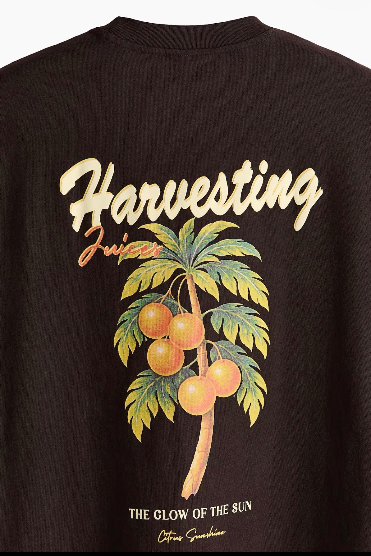 Relaxed  fit Printed T-Shirts-1360506001