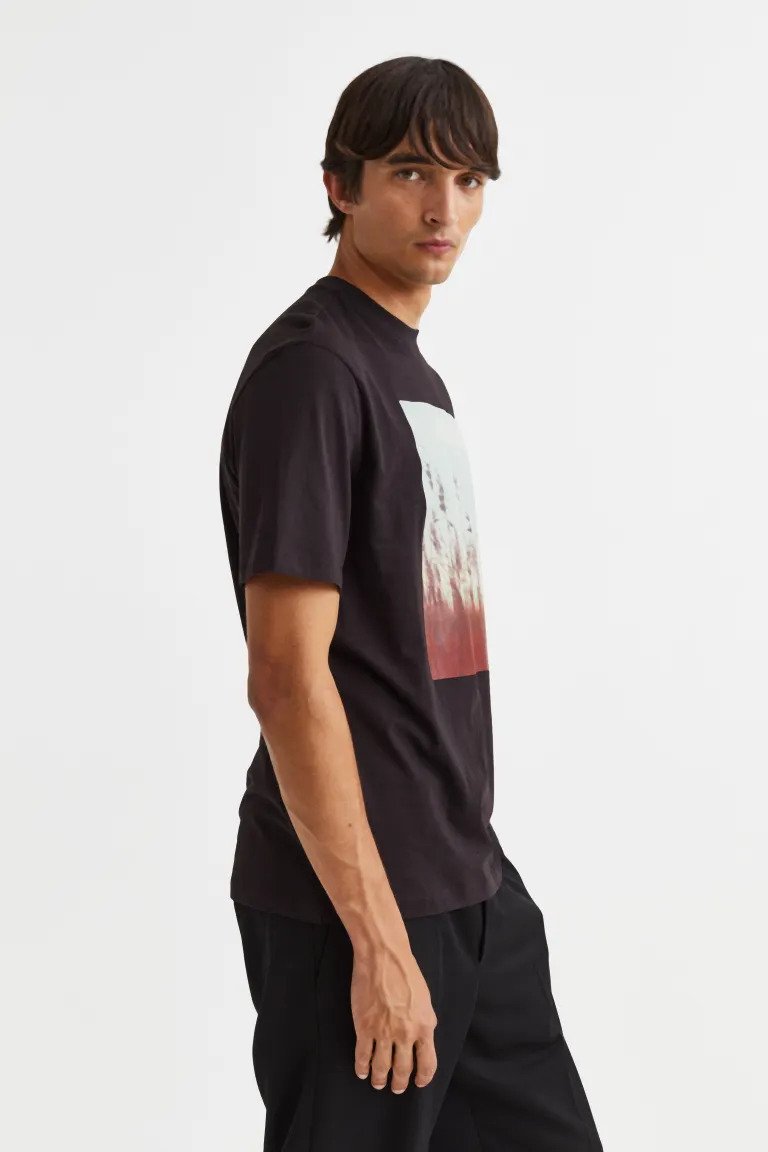 Regular Fit Cotton T-shirt-1099632003